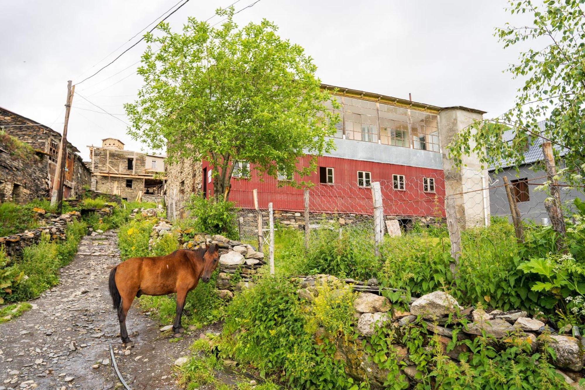 Guesthouse Svani Ušguli Exteriér fotografie